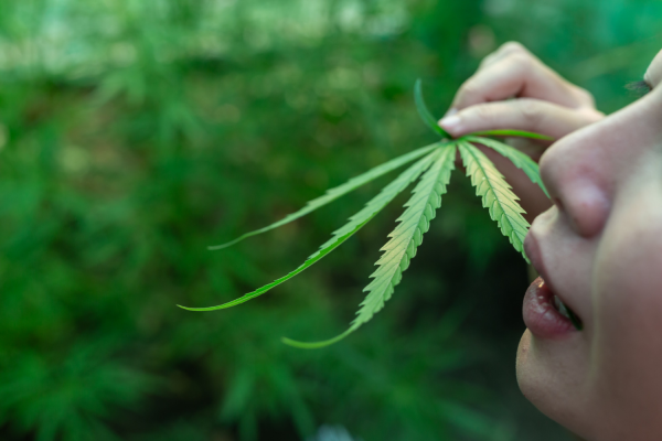 how do you use cbd for relaxation
