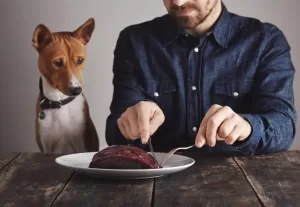 is a raw meat diet good for dogs