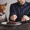 Is a raw meat diet good for dogs